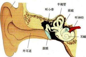 預防耳鳴 記住6種方法 還耳朵清凈舒適！