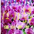 1/29今彩539