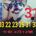 2/12今彩539參考看看>>>祝大家猴年賺大錢