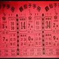 3/3 鶴仙子手冊-六合彩參考