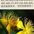 3/10低機六合彩參考看看