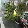 颱風逼近 粵陸空交通打結