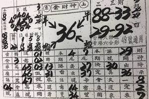 3/29金財財~六合彩參考看