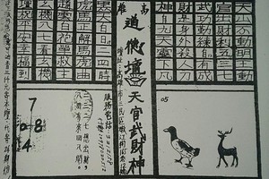 3/29道德壇天官武財神~六合彩參考看