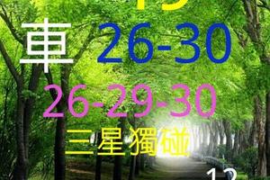 3/29六合彩~(((((((三星獨碰)))))參考看~祝中三星