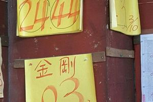 3/29神明牌~六合彩參考看