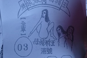 3/29豬母娘娘~六合彩參考看