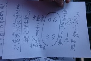 3/29水底寮~六合彩參考看