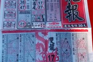 3/29龍報~六合彩參考看