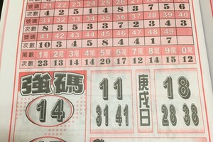 3/29神鷹~六合參考看看