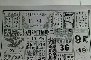 3/29大勝利~六合彩參考看