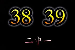 4/17六合彩全車38.39參考看~二中一參考