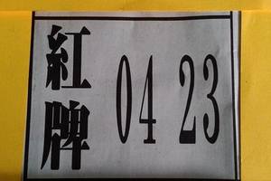 4/19紅牌~六合彩參考看看