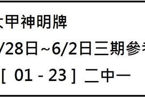 5/28~6/2大甲神明牌~六合彩參考看