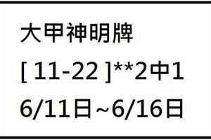 6/14大甲神明牌~六合彩參考看