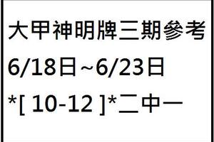 6/21大甲神明牌三內期參考看~六合彩參考看