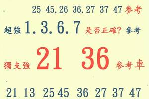 8/23六合彩專車21.36參考看看