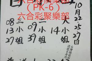 10/25白小姐~六合彩參考看看