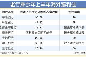 海外投資獲利豐 老行庫上半年賺開懷