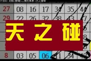 11月13日 六合彩 定點~雙碰~二獨支專車 ~天之碰☯