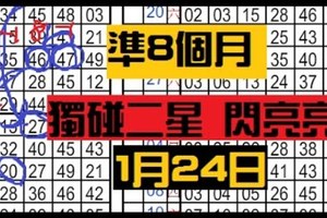 1月24日 六合彩 獨碰二星 ~準8個月 ~閃亮亮