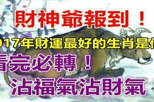 財神爺報到！2017年財運最好的生肖是他...看完必轉！沾福氣沾財氣！