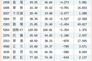 13檔大咖掃貨 反彈要角