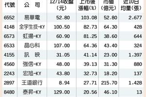 半數上市新兵 漲幅亮眼