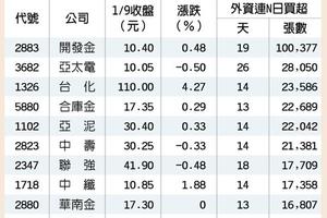 元/10號 10檔外資連日敲 吸睛