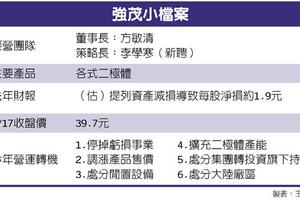 元/18 強茂利多一波波 上半年強運