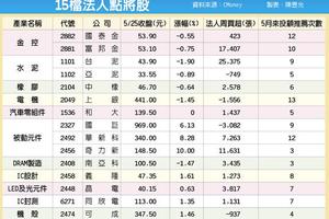 15檔法人點將 備戰6月天