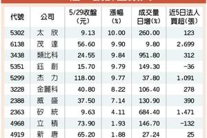 5/30  題材助攻 IC設計股剽悍