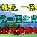 一份耕耘，一份收獲，這三個生肖日後必定事業有成！