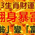 2018財運最旺的生肖，翻身暴富！「負翁」變「富翁」！