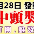 11月28發財日，誰打開誰發財，一發到年底！