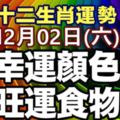 十二生肖每日運勢-12月02日(六)旺運食物幸運顏色