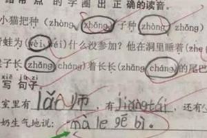 小學生試卷「原貌」，女老師看羞紅了臉，爸媽看了追著打！