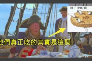 你以為海盜都「吃香喝辣、英俊瀟灑」嗎？吃過這5種海盜主食，你還想出海嗎？＃2蛆蟲餅乾＃3醃了60年的肉乾