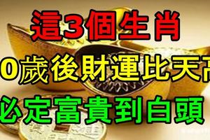 這3個生肖，40歲後財運比天高，必定富貴到白頭！