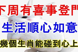 這幾個生肖下周有喜事登門，生活順心如意，能碰到心上人！