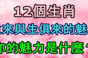 12個生肖，生來與生俱來的魅力！你的魅力是什麼？