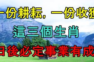 一份耕耘，一份收獲，這三個生肖日後必定事業有成！