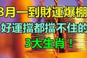 滾滾鈔票全到家！8月一到財運爆棚，好運擋都擋不住的3大生肖！