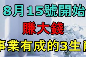 8月15號開始，賺大錢，事業有成的3生肖！