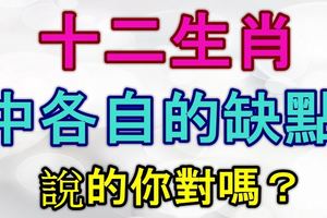 人無完美，十二生肖中各自的缺點，說的你對嗎？