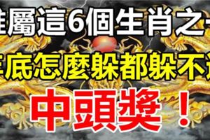 誰屬這6個生肖之一，今年底怎麼躲都躲不過中頭獎。你有上榜嗎？