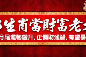 [3生肖當財富老大]11月尾運勢飆升，正偏財通殺，有望暴富!