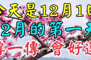 今天是12月1日，12月的第一天，今天收到的人，傳一傳！會好運！