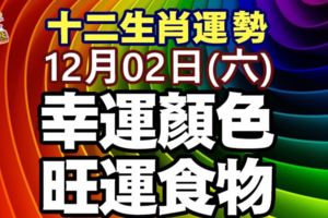 十二生肖每日運勢-12月02日(六)旺運食物幸運顏色