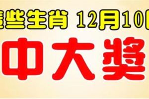 這些生肖，12月10日開始，最會中大獎，錢包滿滿